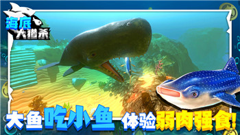 《决战沙城》攻略使用技巧——全面提升游戏体验，掌握最强战力技巧