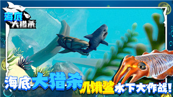 《上古卷轴5》提升角色成长：技能进步的实用方法
